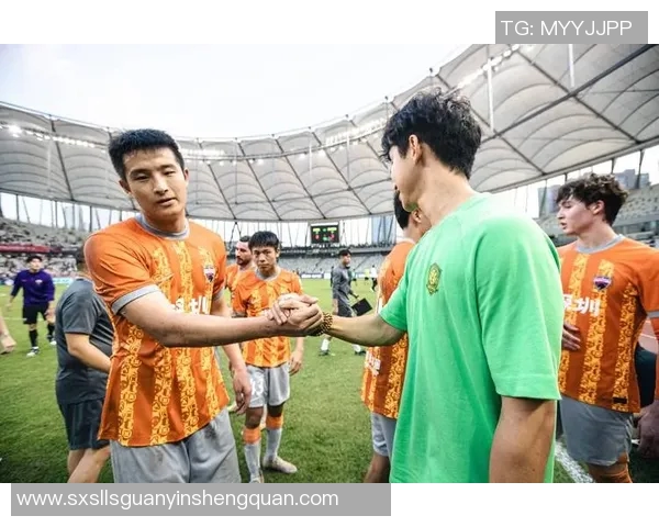 深圳引进足球明星阵容揭秘他们的实力与影响力