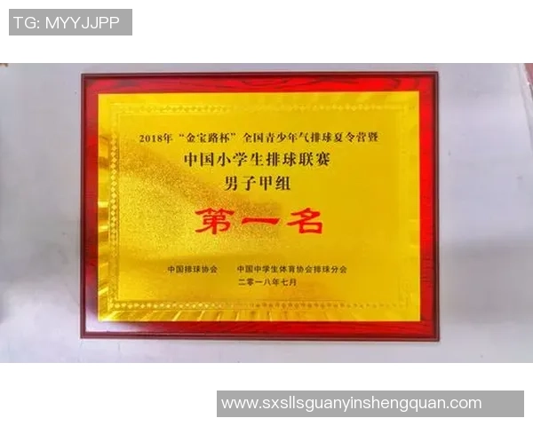 武汉排球队心理素质排名第九揭示排球运动员心理素质的重要性与发展潜力